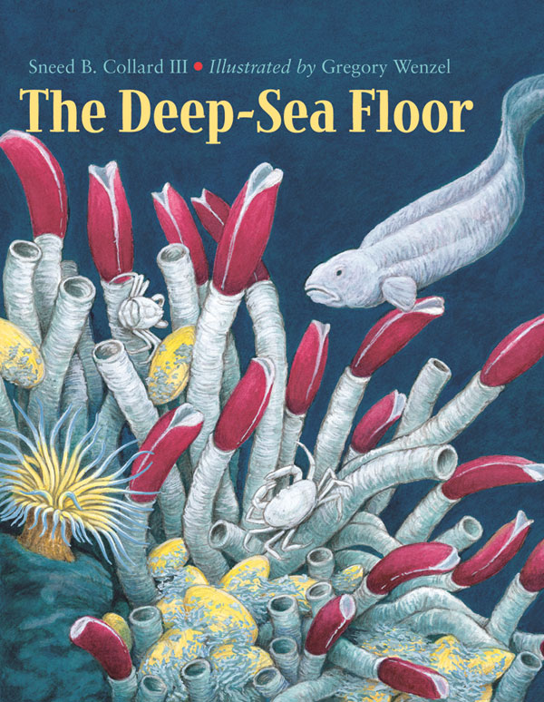 deep ocean floor fish